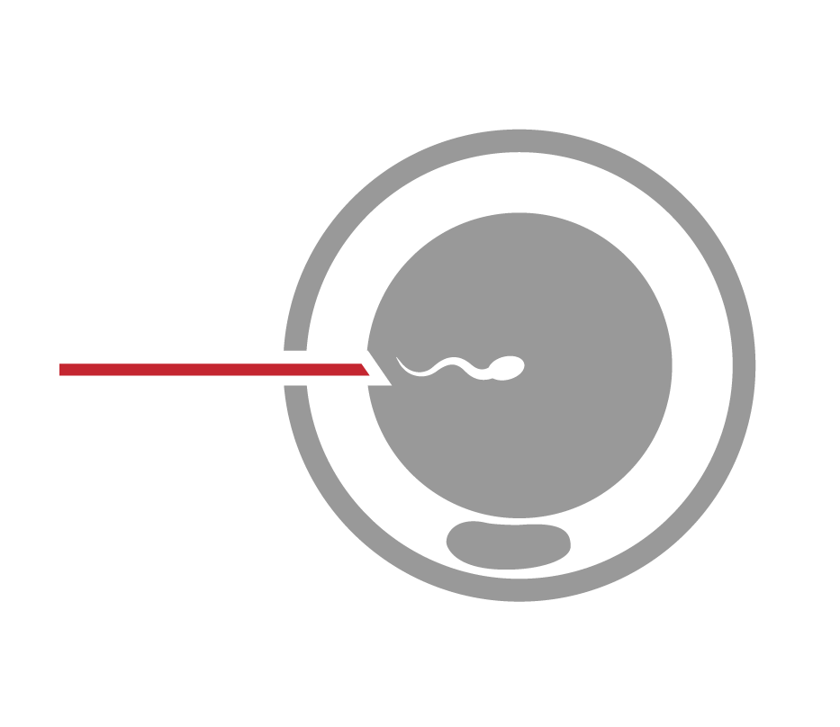 เทคโนโลยีเจริญพันธุ์ IUI, IVF, ICSI